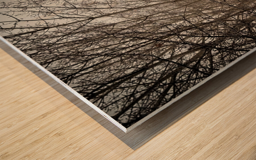 Winter’s Breath Wood print