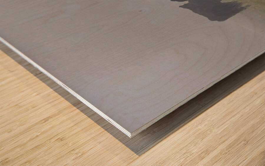 Misty Moood Wood print