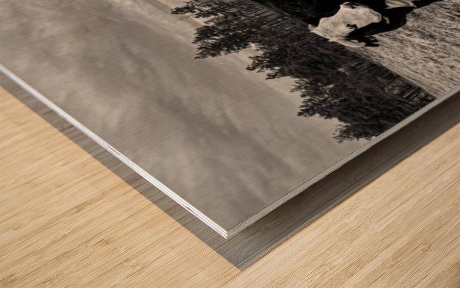 Outstanding in her field Wood print