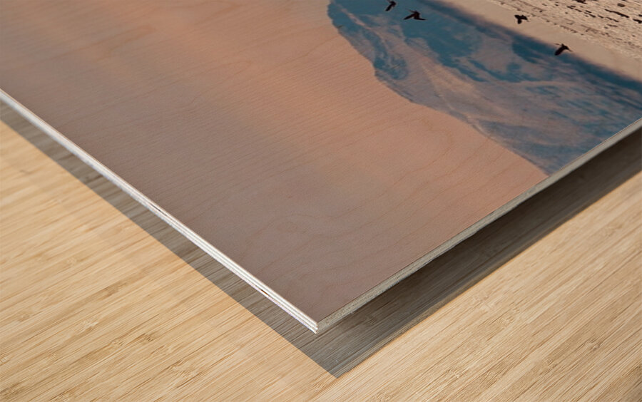 Beauty in the bitter cold - Columbia River 1 Wood print