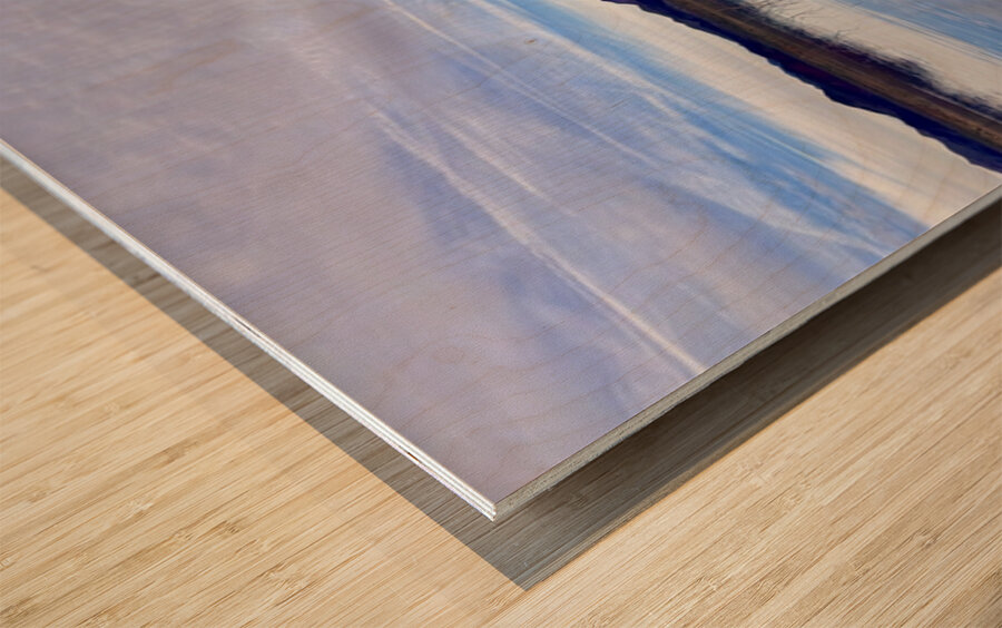 Alamo Lake Arizona -2 Wood print