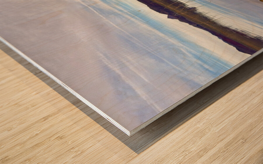 Alamo Lake Arizona -1 Wood print