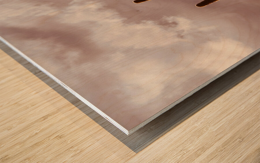 Sunlit Saguaro Wood print