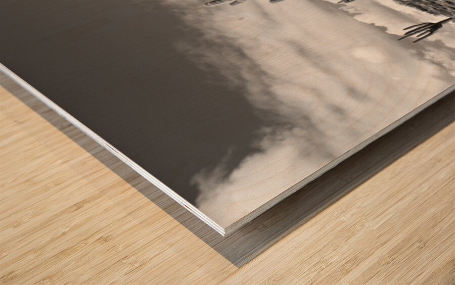 Fine Art Desert Wood print
