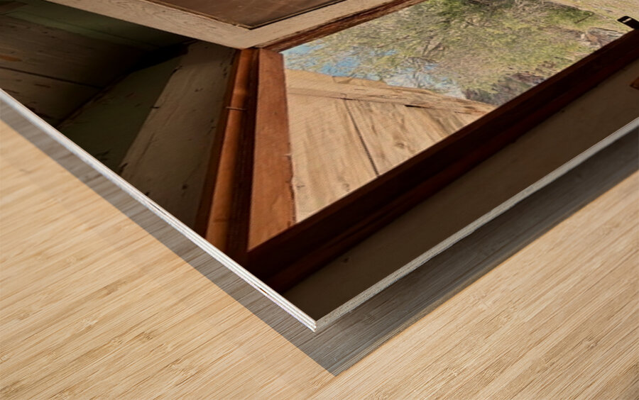 Stepping through time Wood print