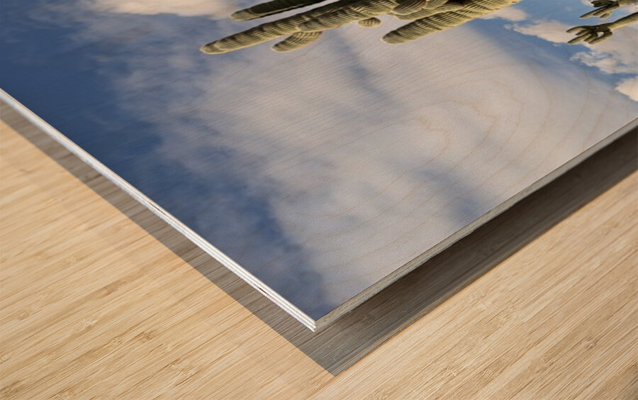 Old Man Saguaro Wood print