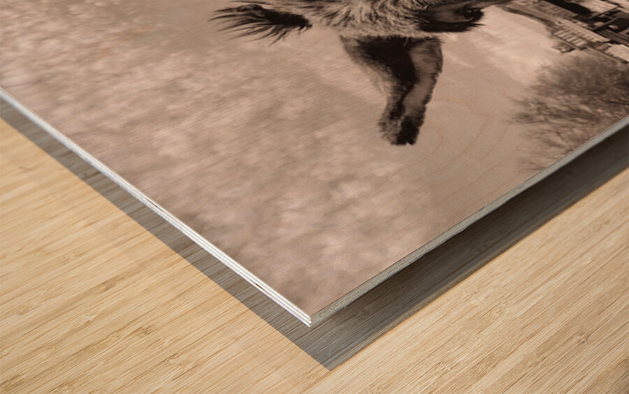 Oatman Donkey - Sepia tone Wood print