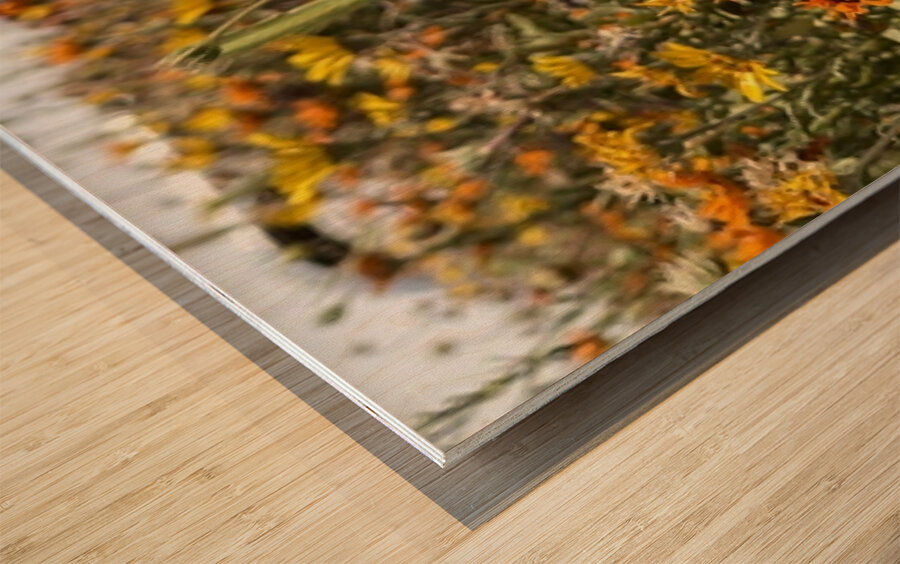 Happy little wildflowers Wood print