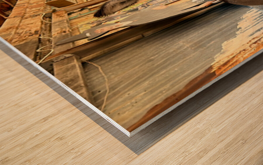 Oliver with “winter chops” Wood print