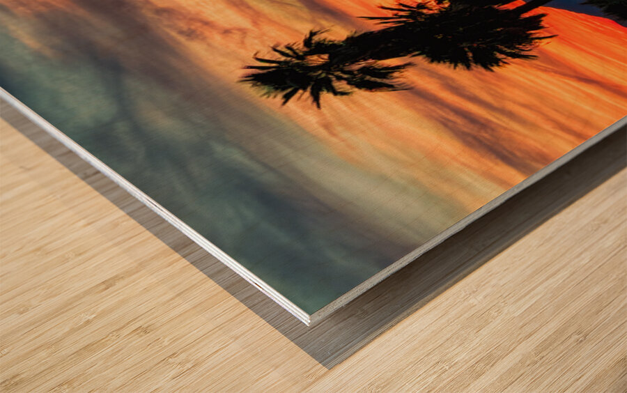 5 Mile Landing - Topock Marsh Wood print