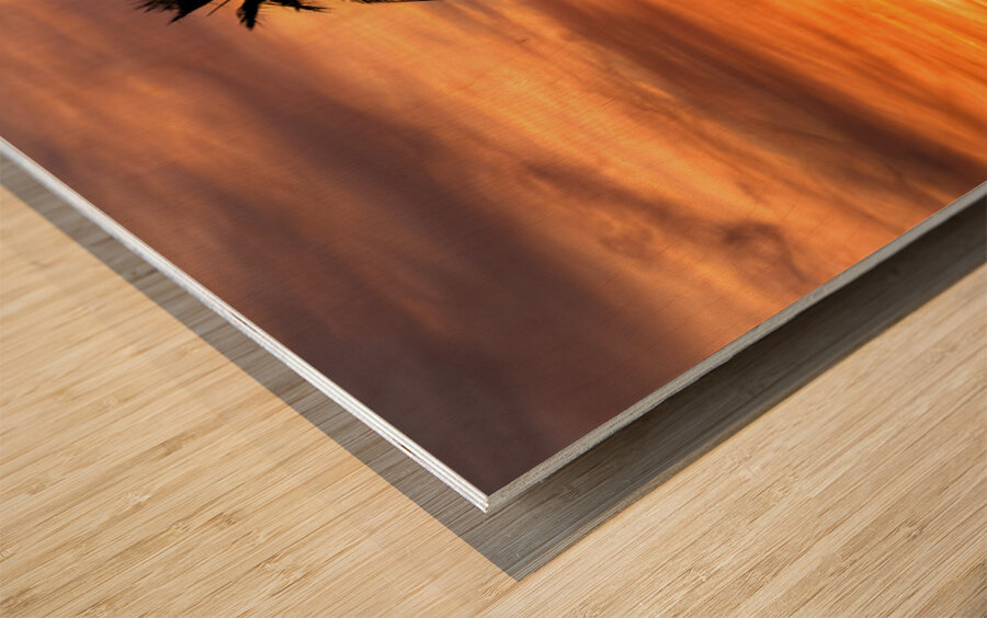 Topock Marsh Sunset Wood print