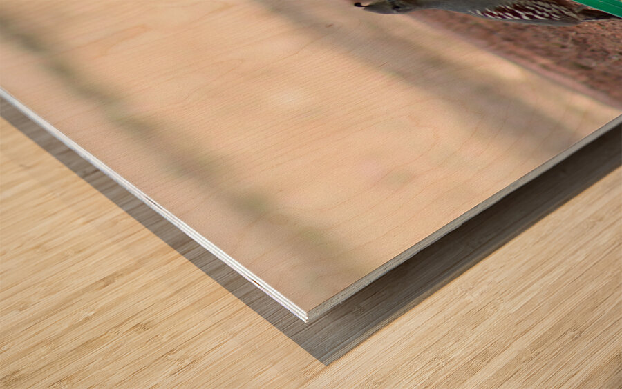 Ye Old Watering Hole Wood print