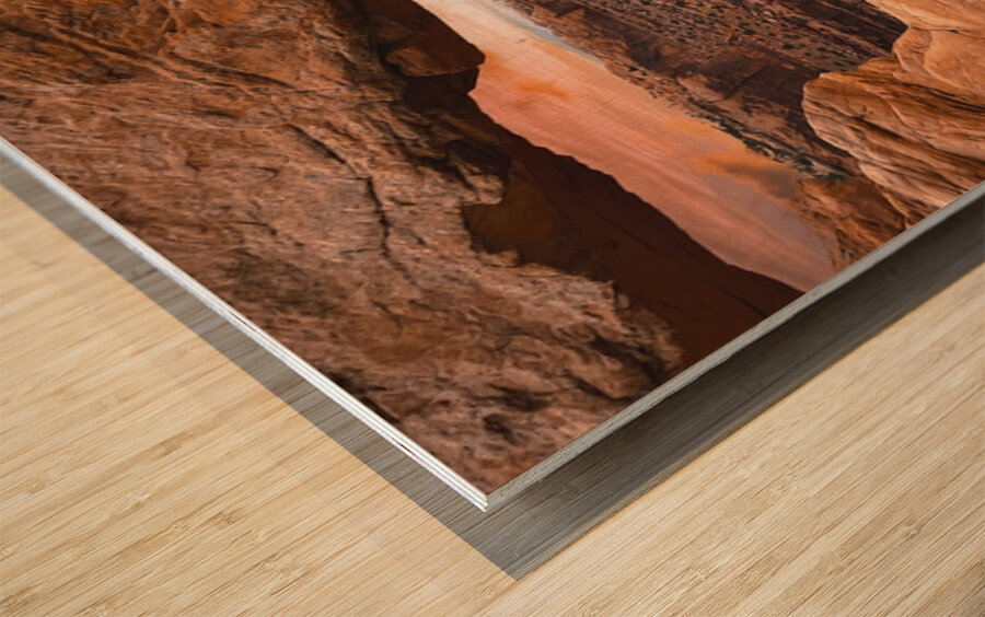 The Land Before Time Wood print