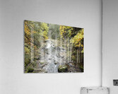 IMG 4686 Acrylic Print