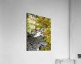 IMG 4690 Acrylic Print