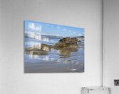 IMG 4779 Acrylic Print
