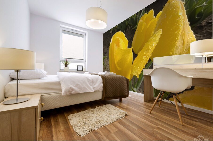 Wooden Shoe Tulip Farm IMG 8311 Mural print