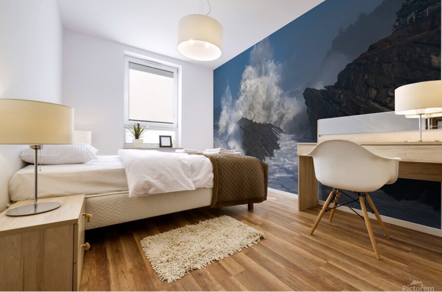 Shore Acres Exploding Wave BWS6840 Mural print