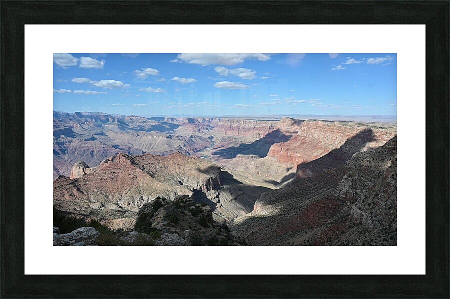 DSC 2319 Picture Frame print