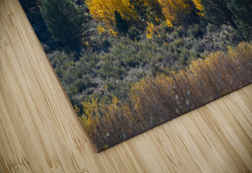 Fall Tree Grove BWS 2179 Bruce W Smith puzzle