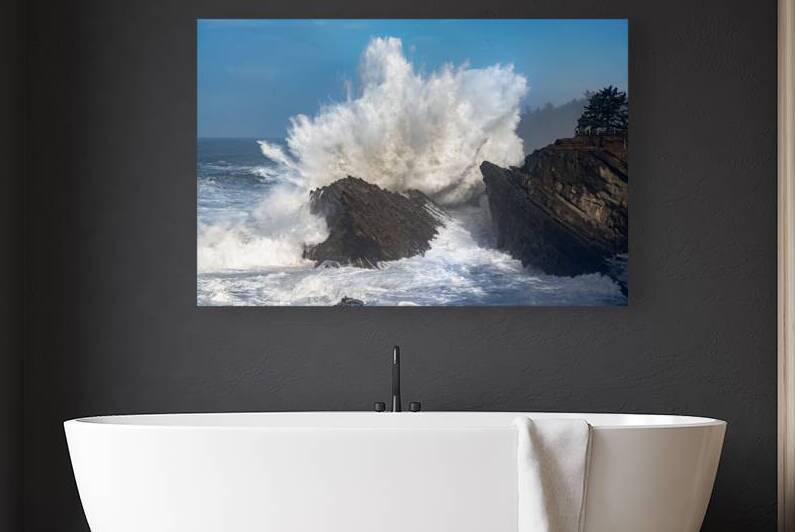 Shore Acres Crashing Wave Winter BWS6836 by Bruce W Smith