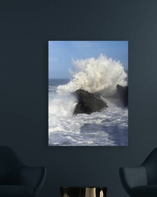 Shore Acres Winter Surf BWS6797 by Bruce W Smith