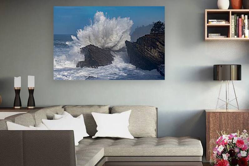 Oregon Coast Crashing Wave Winter BWS6834 by Bruce W Smith