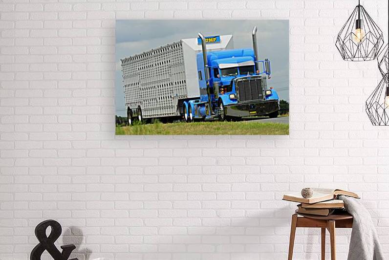 Peterbilt Cattle Hauler BWS5037 by Bruce W Smith