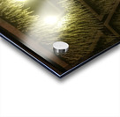 Ceiling Acrylic print