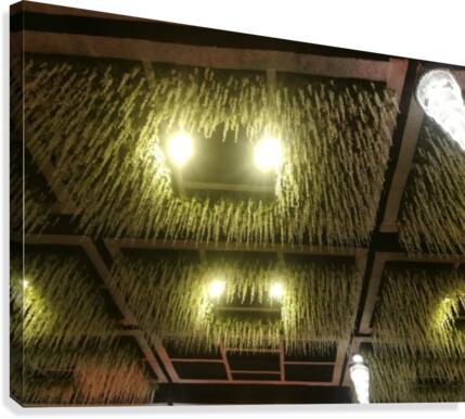 Ceiling Canvas Print