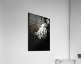 Mealtime Mantis Acrylic Print
