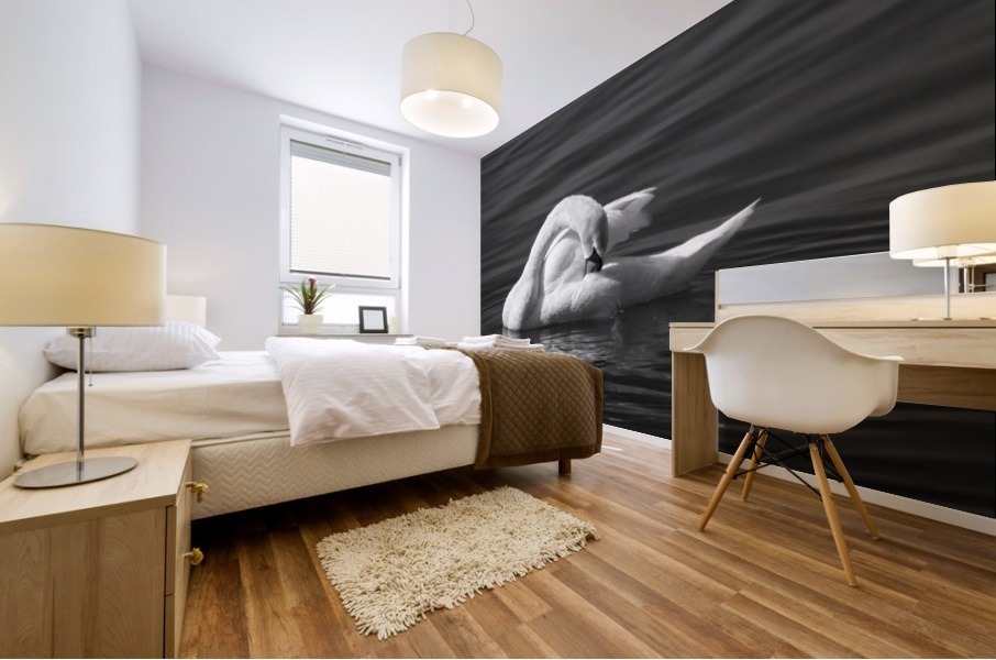 Swan 3 BW Mural print