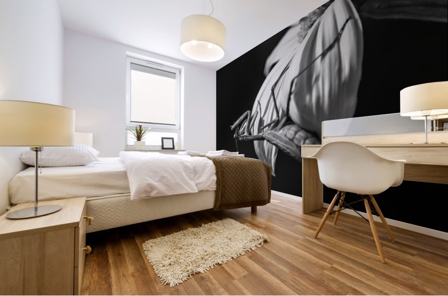 Mealtime Mantis Mural print