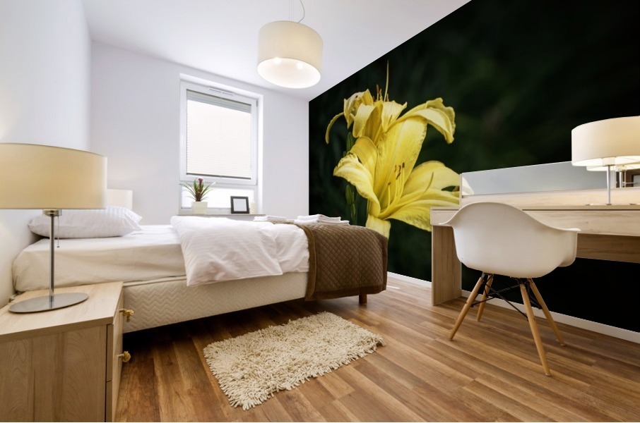 Yellow Daylily Mural print
