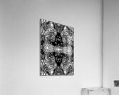 Boss Shaman Acrylic Print