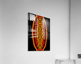 Shiva linga Acrylic Print