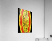 LINGAMS 1232  Acrylic Print