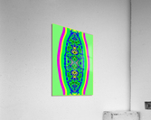 Shem va Siva Acrylic Print
