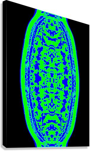 SHIVA LINGAM  Canvas Print
