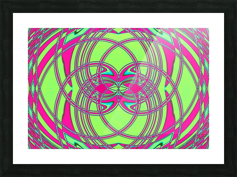 The Night Bird  Picture Frame print
