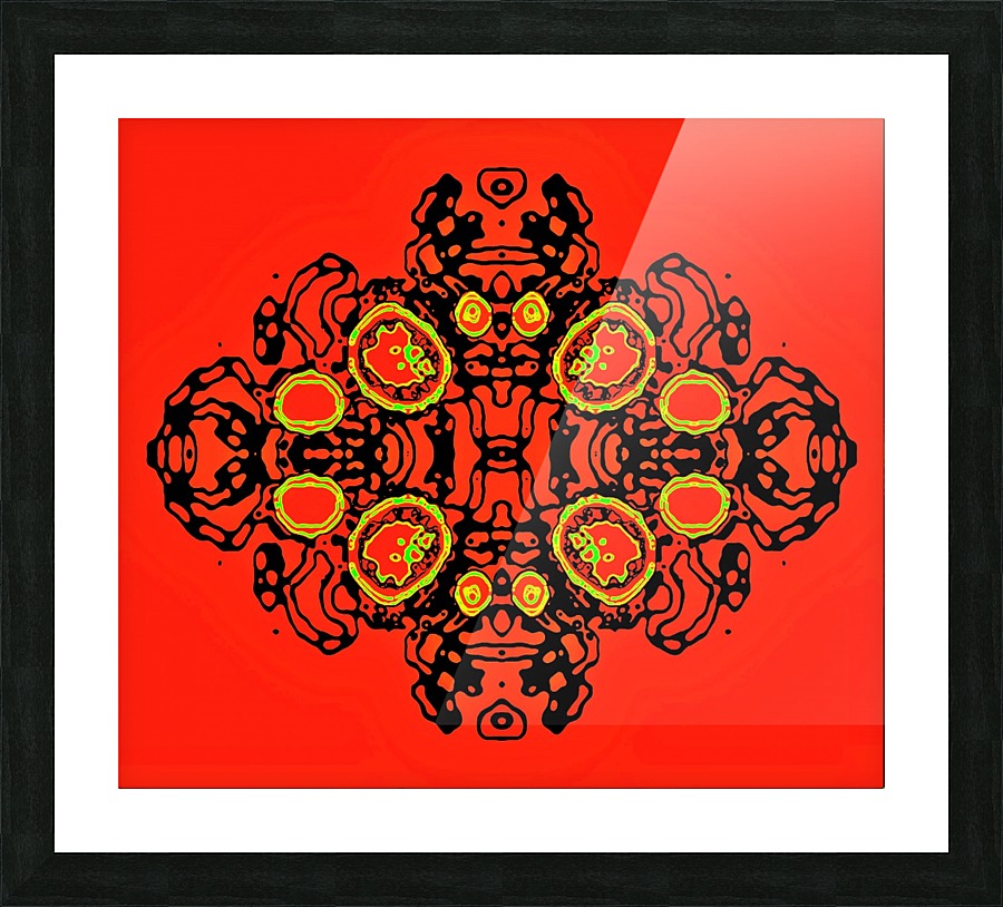 CAMERA OBSCURA  Picture Frame print