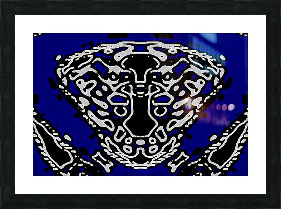 CRYPTOMANCER Picture Frame print