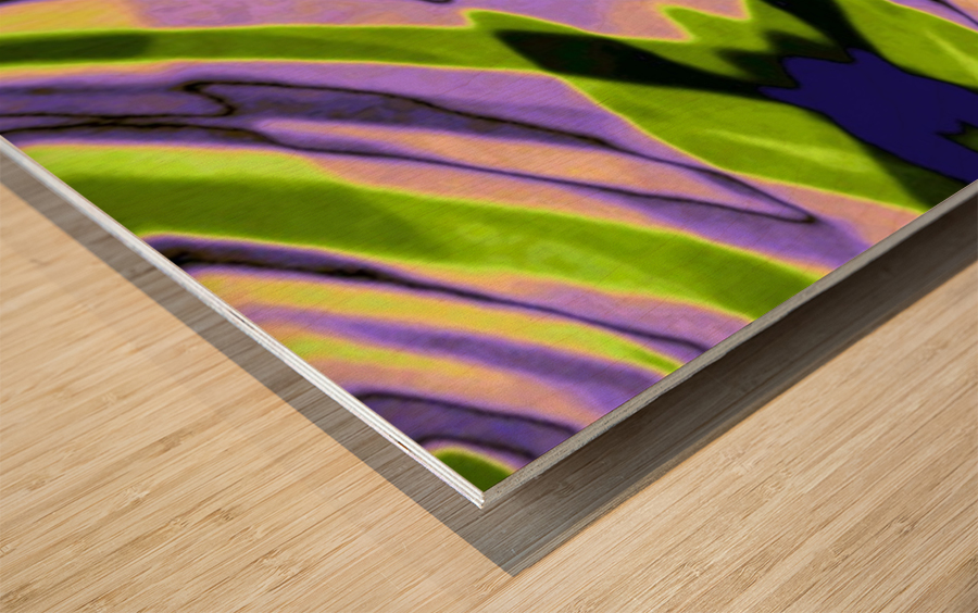 Capstone Pictures  Wood print