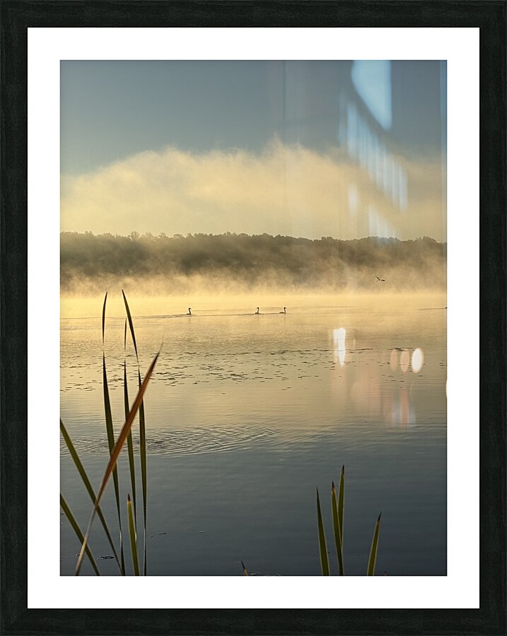 Cool & Crisp Picture Frame print