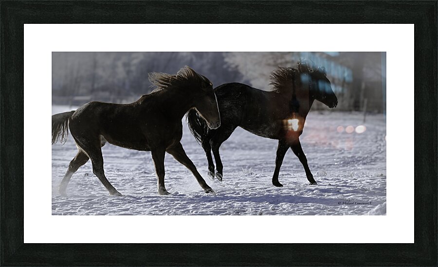 Frozen Freedom Picture Frame print