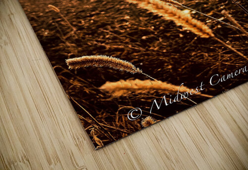 Midwestern Summer  Midwest CameraworX puzzle