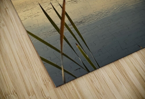 Cool & Crisp Midwest CameraworX puzzle