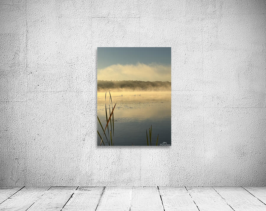 Cool & Crisp Wall Preview