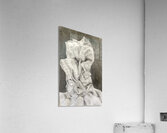 Untitled design 2 Acrylic Print