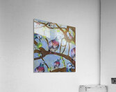 Untitled design 3 Acrylic Print